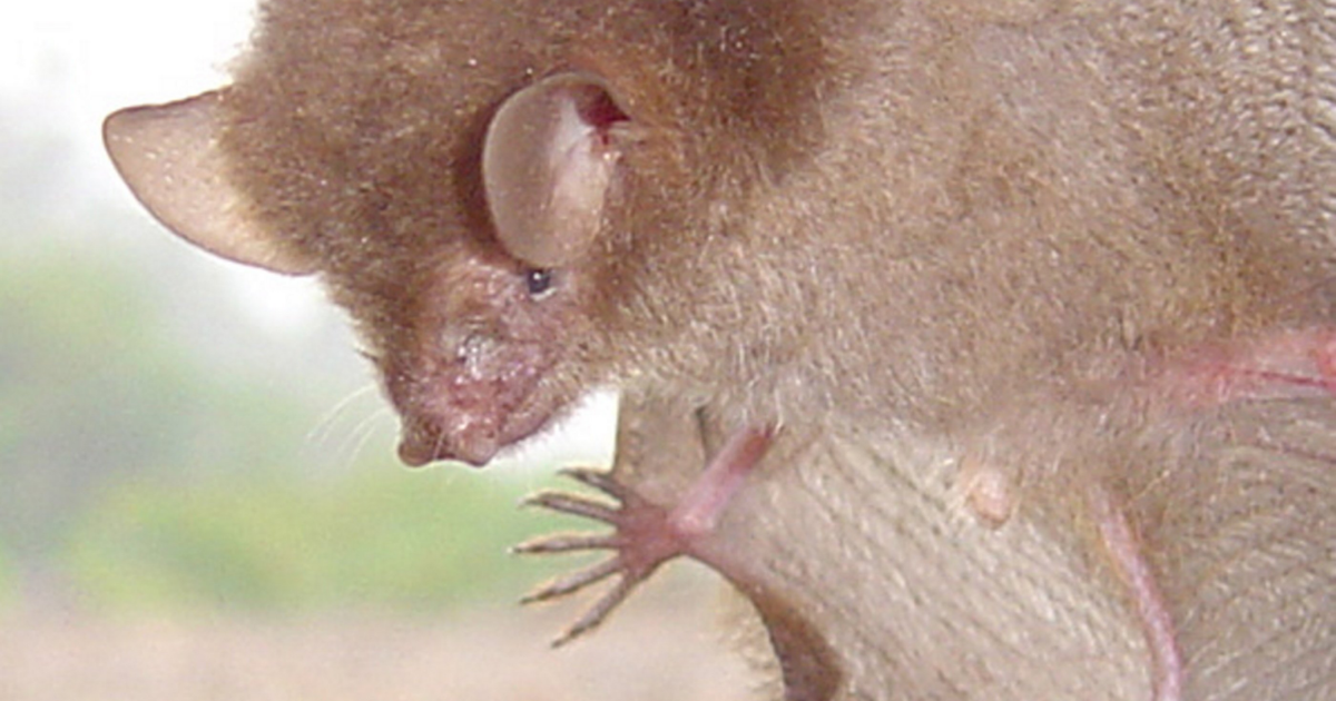 <br />
<b>Warning</b>:  Undefined variable $myimgalt in <b>/www/wwwroot/kmnewsmedia.cn/wp-content/themes/ennews001/single.php</b> on line <b>213</b><br />
