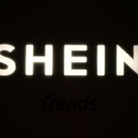 <br />
<b>Warning</b>:  Undefined variable $myimgalt in <b>/www/wwwroot/kmnewsmedia.cn/wp-content/themes/ennews001/single.php</b> on line <b>213</b><br />
